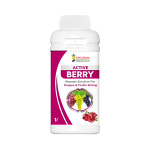 ACTIV BERRY