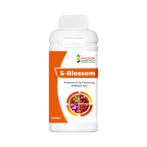 S-Blossom