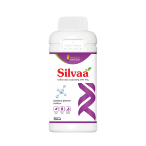 Silvaa