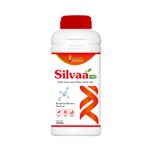 Silvaa PRO