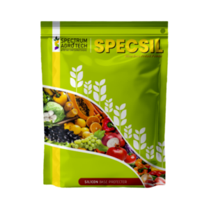 Spec Sil
