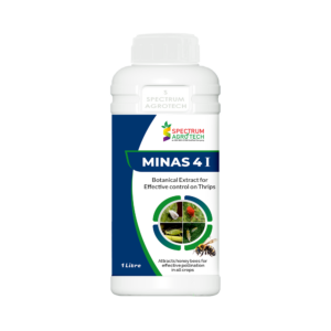 MINAS 4I