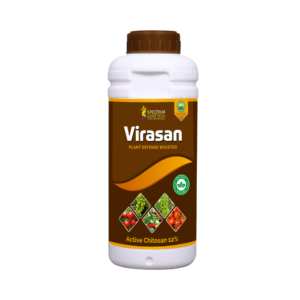 Virasan