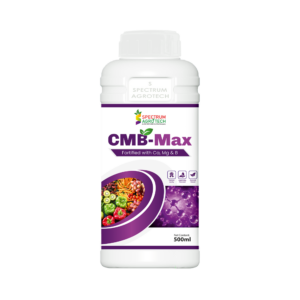 CMB Max