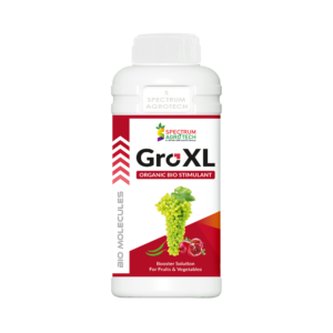 GRO XL