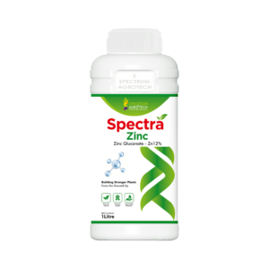 SPECTRA ZINC 12% GLUCONATED
