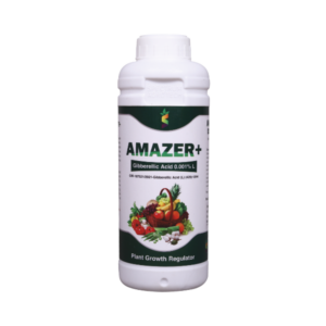Amazer+