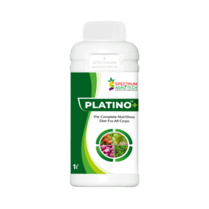 Platino +