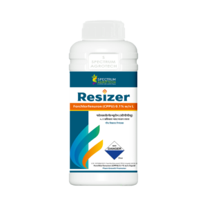 Resizer